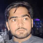 Zaib