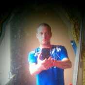 david28511