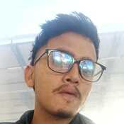Sady