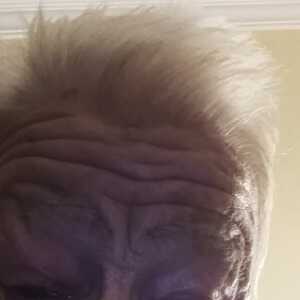 CuriousWarriorjhjcgd