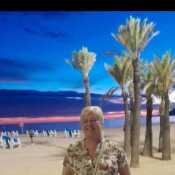LoyalOptimistegigce
