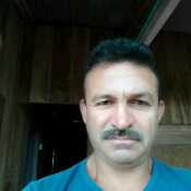 Bolis