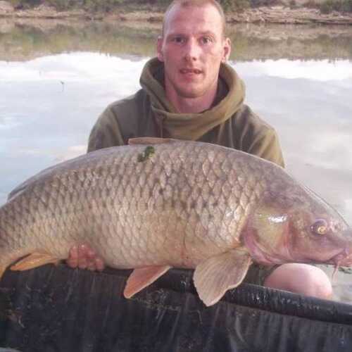 carpcarp1