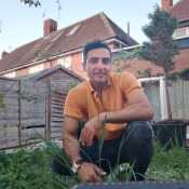 Fery