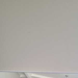 BrilliantWarrior442df9