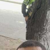 Alvarito0516