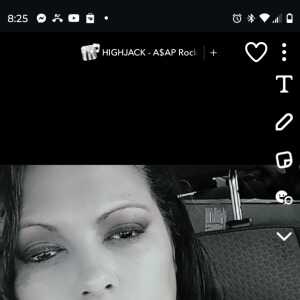 PlayfulSinger83bc7e