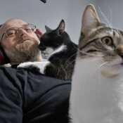 CatDaddy