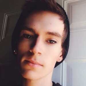 ciaheabcaecgebah
