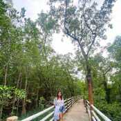 Cly