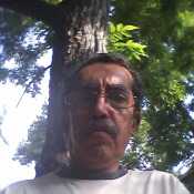 Theman3 
