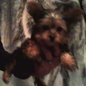 linda152654