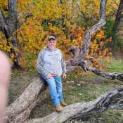 Retiredandalone