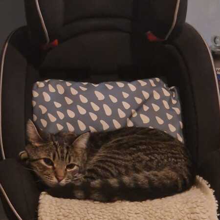 JayJay profile photo