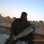 Maghraby