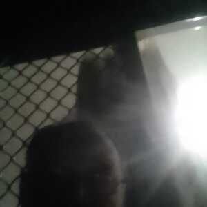 JoyfulMusician19