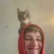 CuriousChefjffhdc