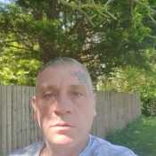 Stevo