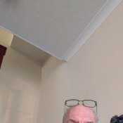 David05