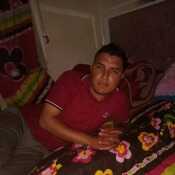 Elver