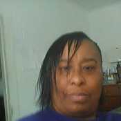 Stephnora