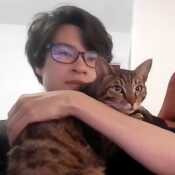 ddiedidaeaeceieg