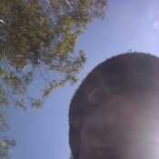 Elsololobo