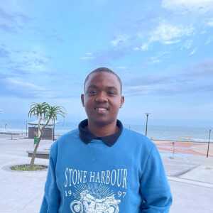 LoyalStrategisthcbeie