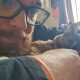 AlluringCompanion52