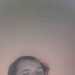 Dinoking's profile picture