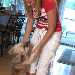 amala jose's profile picture