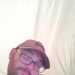 Bigrob92's profile picture