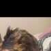 Krupt's profile picture