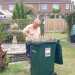 Leeds121 's profile picture