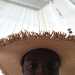 happygolucky25's profile picture