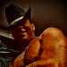 Lalo's profile picture