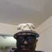 BlakeC861's profile picture