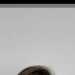 Sean's profile picture