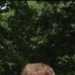 MYSOCALLEDLIFE's profile picture