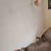 Catlover67
