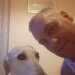 SHAIN66's profile picture