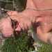Daz5444's profile picture