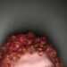 Tommy's profile picture