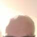 PETE 's profile picture