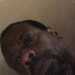 EmpatheticScholar95's profile picture