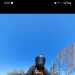 Yamaha mt's profile picture