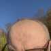 Vladimir's profile picture