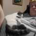 EvilS
