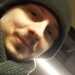 Drew's profile picture