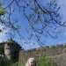 wishbone79's profile picture